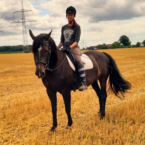 Frau reitet mit Pferd auf Acker