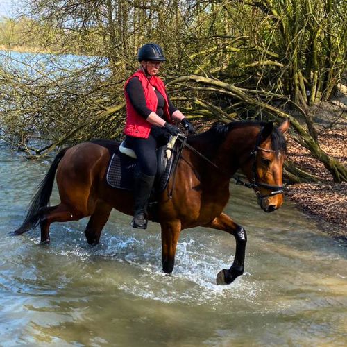 Frau reitet durch Wasser