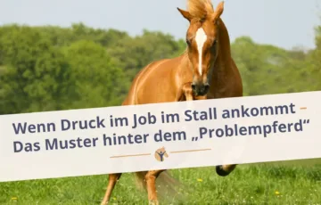 Bloggrafik: Das Muster hinter dem Problempferd. Wenn Druck im Job im Stall ankommt.