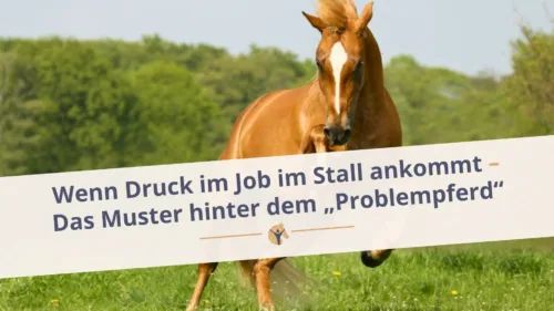 Bloggrafik: Das Muster hinter dem Problempferd. Wenn Druck im Job im Stall ankommt.