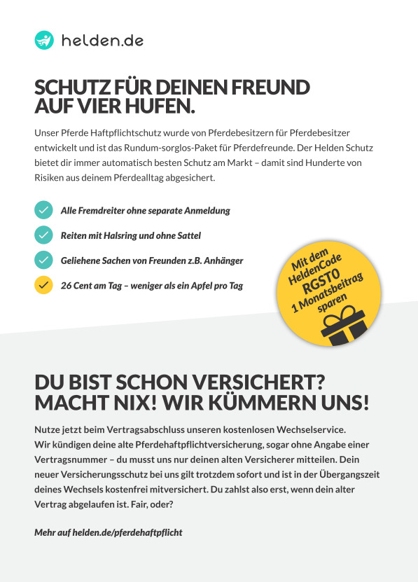 Flyer mit Text von der Pferdehaftpflicht-Versicherung by helden.de