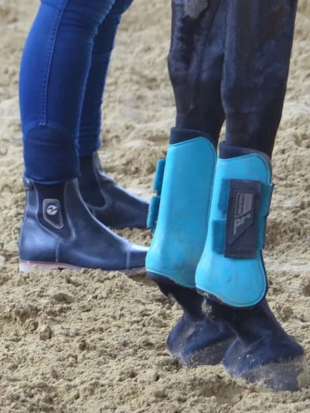 Zwei Menschenbeine stehen neben zwei Pferdebeinen mit blauen Gamaschen.