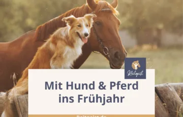 Ein Hund sitzt neben einem Pferd vor einem Holzbalken.