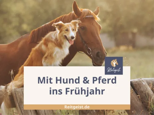 Ein Hund sitzt neben einem Pferd vor einem Holzbalken.