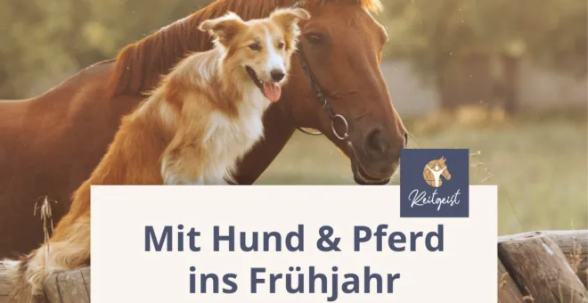Ein Hund sitzt neben einem Pferd vor einem Holzbalken.