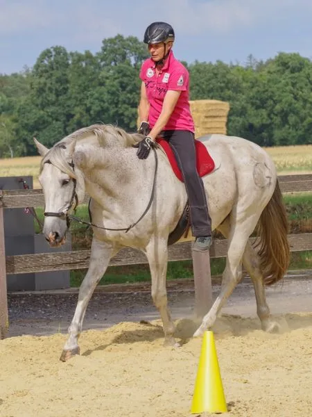 jutta beckmann reitet pre nino