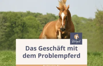 problempferd