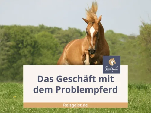 problempferd