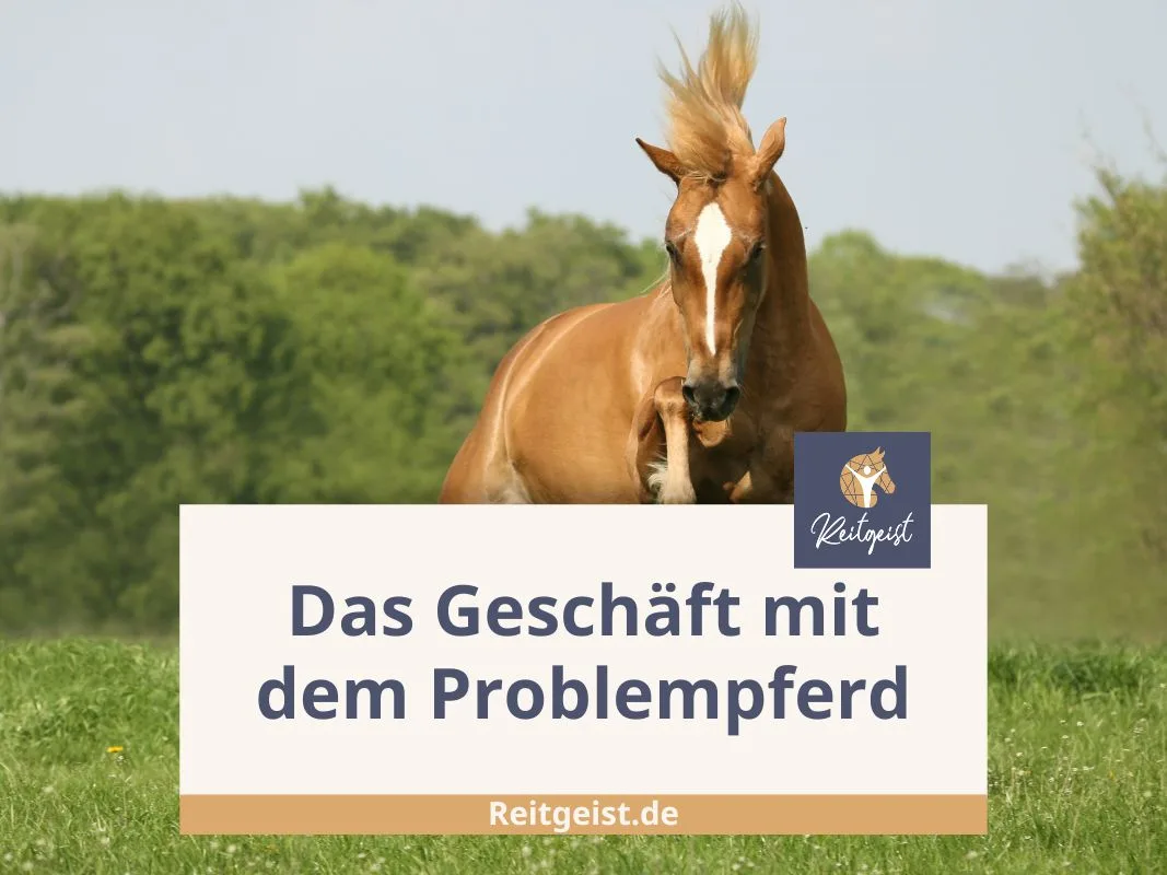 problempferd