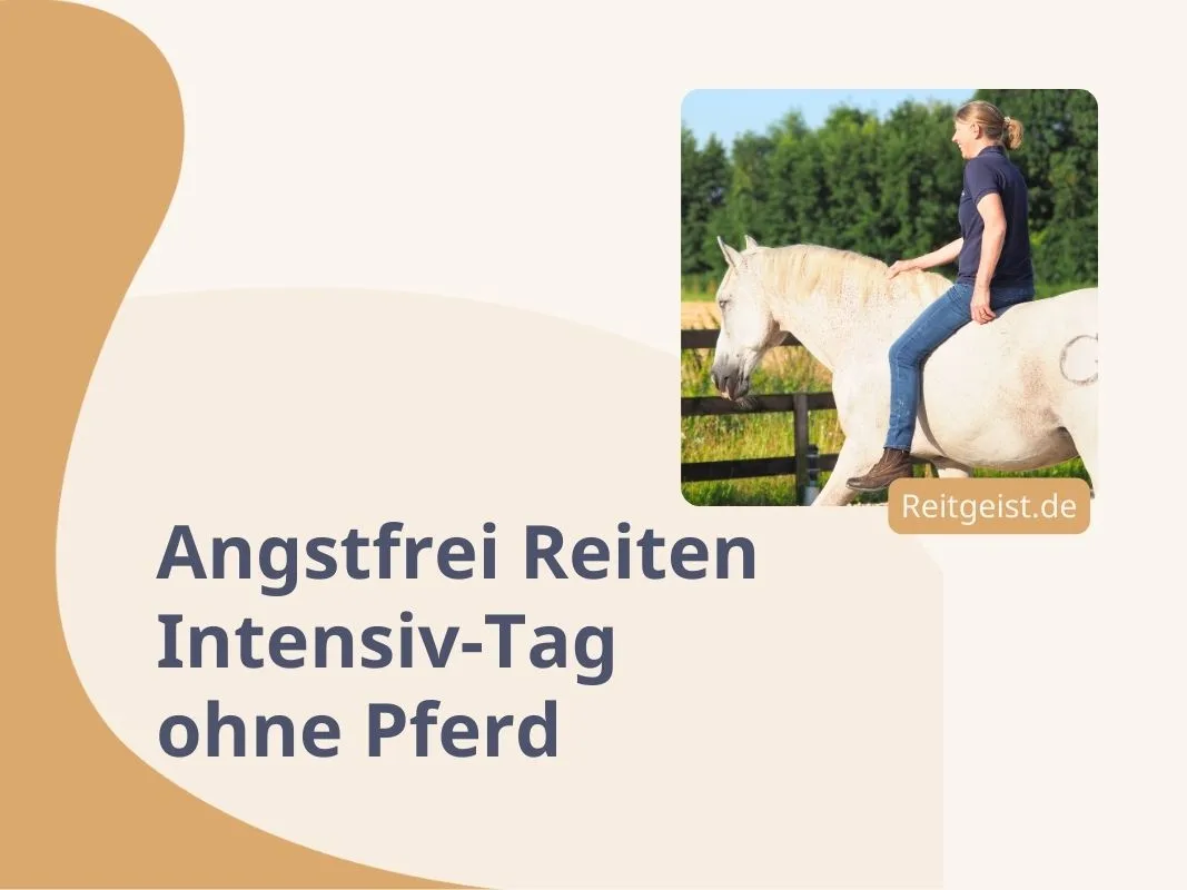 Eine Frau, die im Grünen ohne Sattel und Zaumzeug auf einem Pferd reitet.