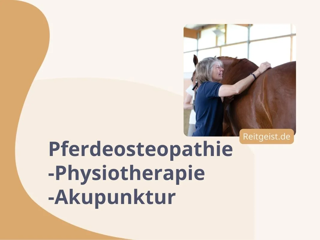 Eine Frau behandelt ein Pferd.