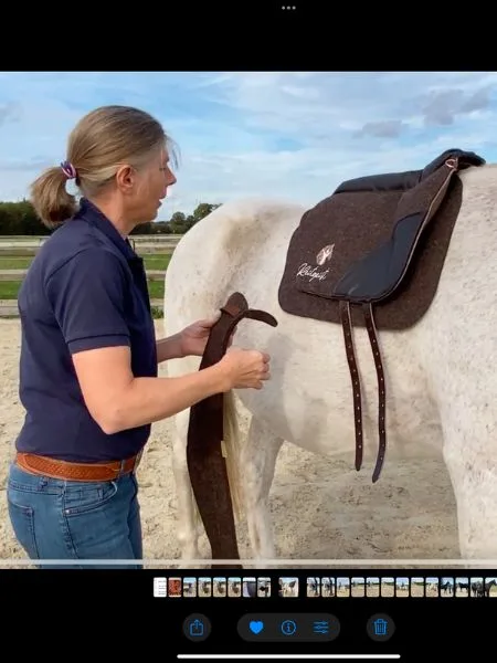 Eine Frau legt einen braunen Sattel auf ein weißes Pferd.