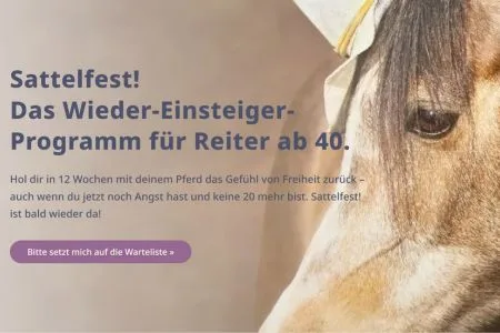 Ein Pferd trägt einen Hut.