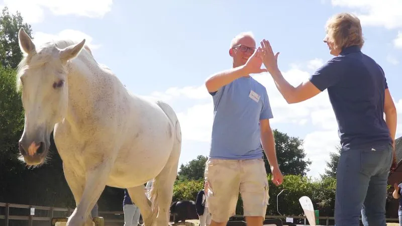 Ein Mann und eine Frau stehen neben weißem Pferd und geben sich gegenseitig ein High Five.