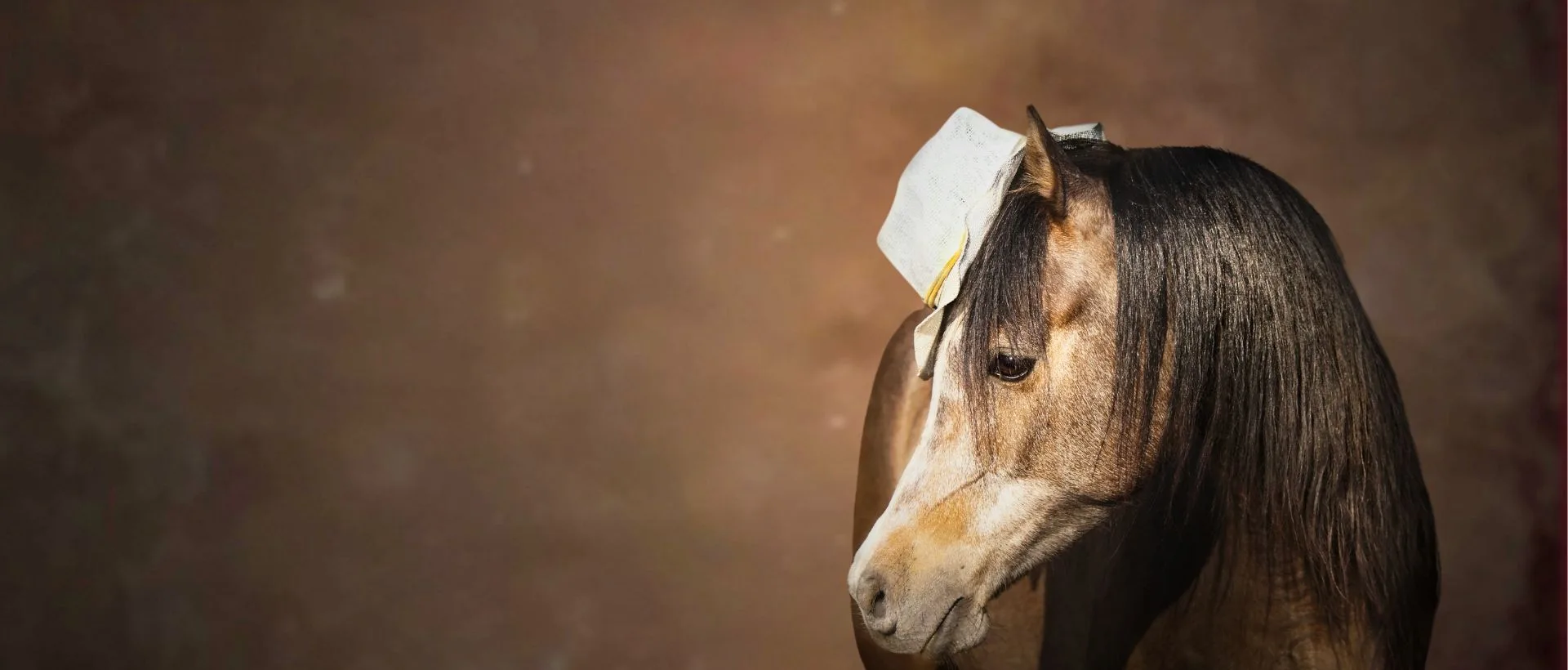 Sattelfest: Pferd mit Hut