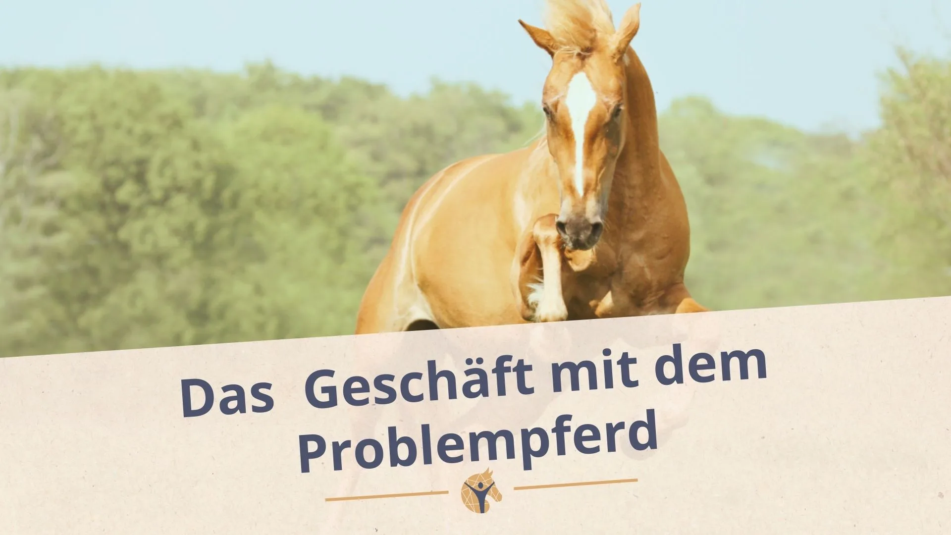 Bloggrafik Das Geschäft mit dem Problempferd: Steigendes Pferd auf einer Wiese.