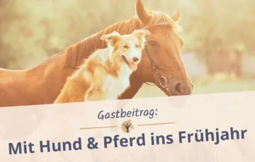 Bloggrafik mit Hund und Pferd ins Frühjahr
