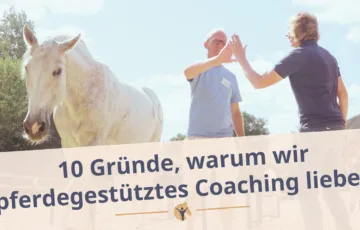 Bloggrafik: Warum wir pferdegestütztes Coaching lieben. Ein Mann und eine Frau stehen beim neben weißem Pferd und geben sich gegenseitig ein High Five.