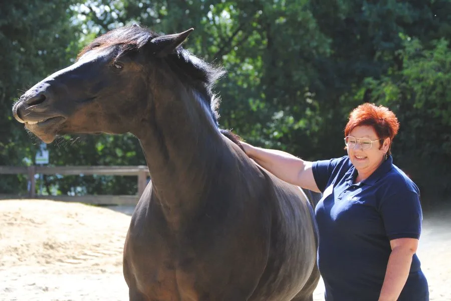 Eine Frau krault ein schwarzes Pferd. Das Pferd genießt es.