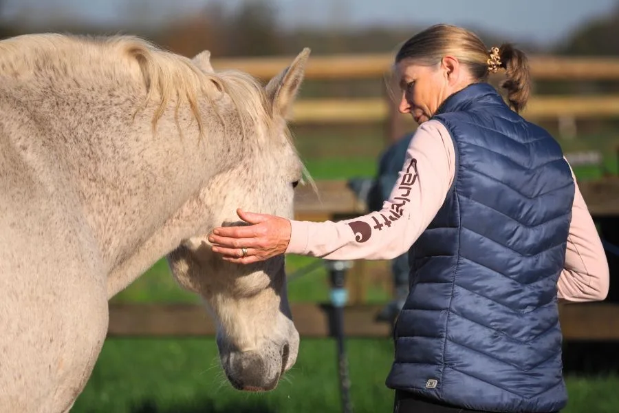 Eine Frau schaut ein weißes Pferd an und berührt es sanft an der Ganasche.