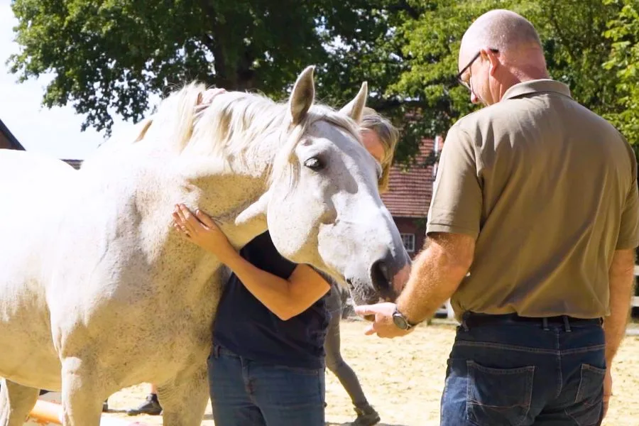 Ein Mann streckt die Hand zu einem Pferd aus, das von einer Frau umarmt wird.