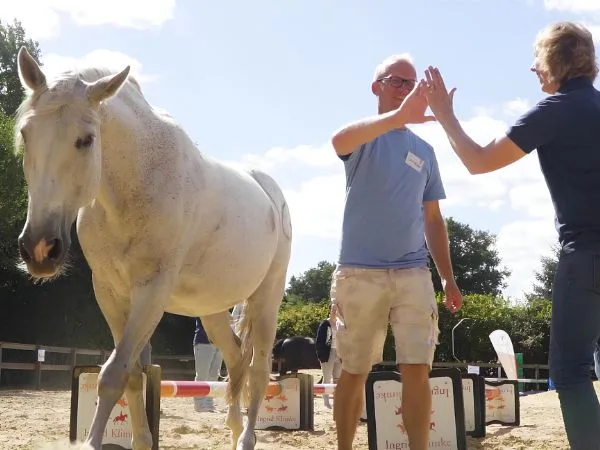 Jutta Beckmann gibt Kunde im pferdegestützten Coaching ein high five.
