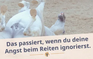 Bloggrafik Angst beim Reiten ignorieren. Ein PFerd liegt auf dem Rücken im Sand und strampelt.
