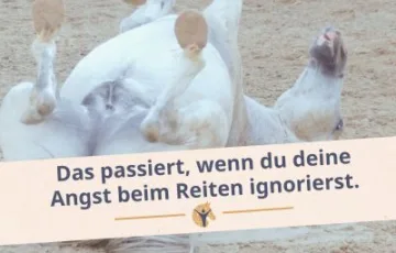 Bloggrafik_Angst beim Reiten ignorieren. Ein Pferd liegt auf dem Rücken im Sand und strampelt.