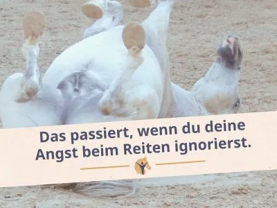 Bloggrafik_Angst beim Reiten ignorieren. Ein Pferd liegt auf dem Rücken im Sand und strampelt.