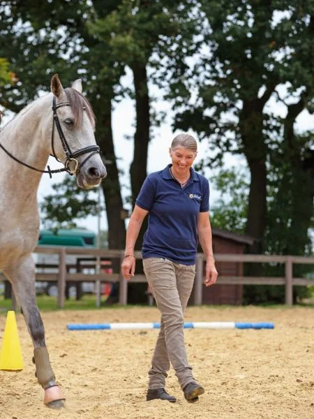 Eine Frau in blauem Shirt und beiger Hose läuft auf dem Reitplatz neben einem gezäumten Pferd her.