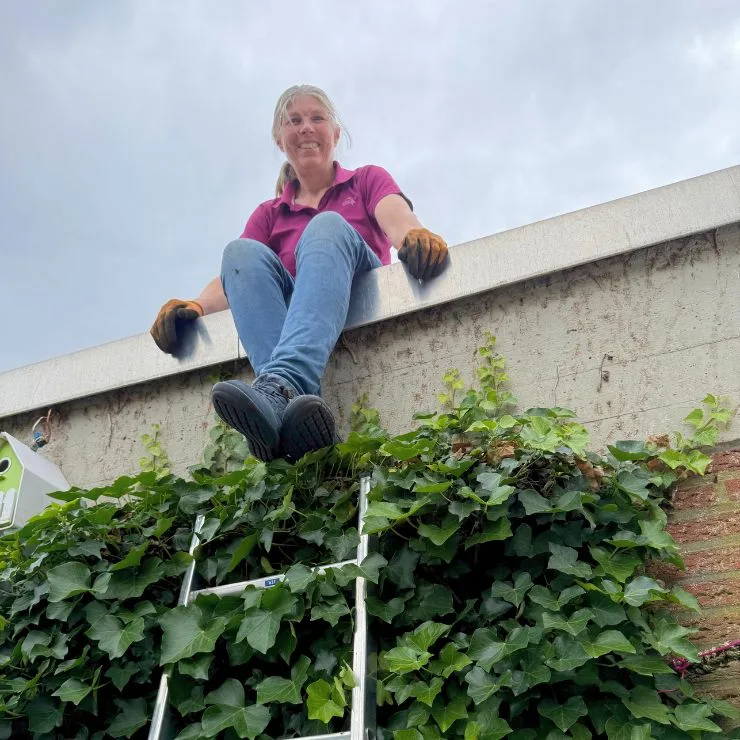 jutta sitzt auf unserer garage