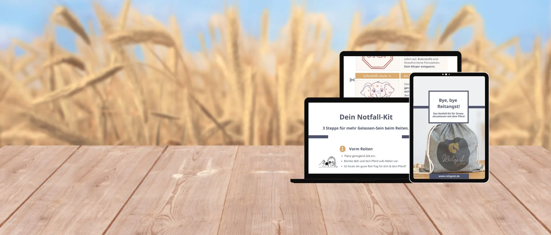 Grafik: Notfall-Kit-gegen Reitangst