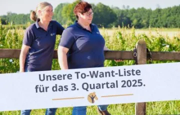 Bloggrafik: To-Want-Liste für das 3. Quartal 2025. 2 Frauen schauen am Zaun gelehnt nach rechts.