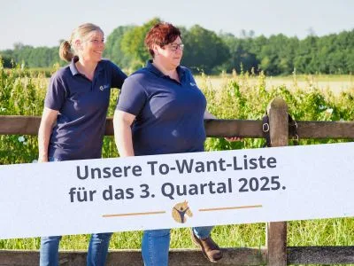 Bloggrafik: To-Want-Liste für das 3. Quartal 2025. 2 Frauen schauen am Zaun gelehnt nach rechts.
