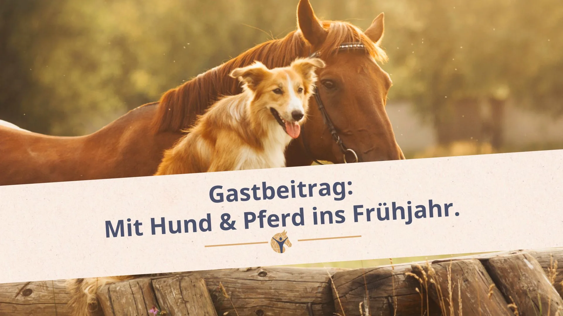 Bloggrafik mit Hund und Pferd ins Frühjahr
