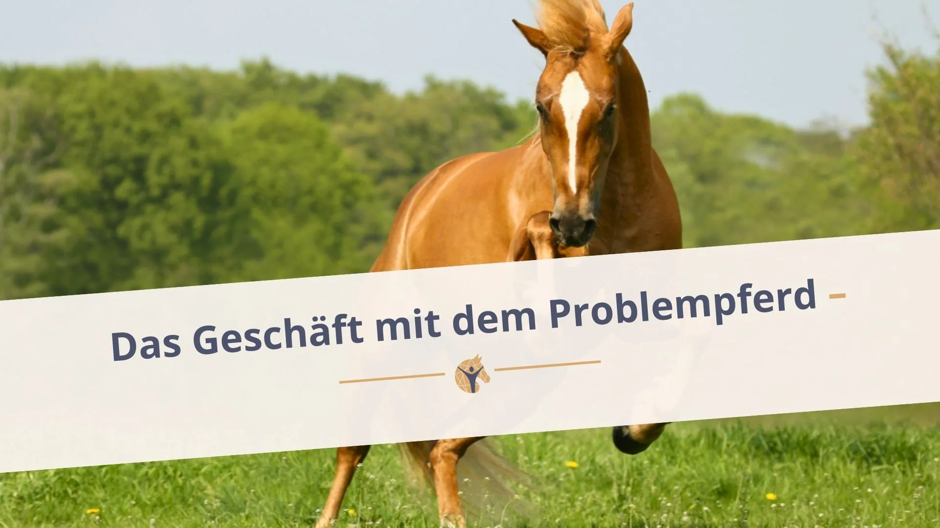 Bloggrafik: „Das Geschäft mit dem Problempferd“; eine steigende Fuchsstute auf einer Wiese.