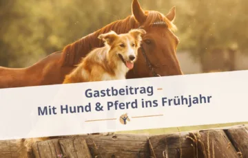 Bloggrafik: „Gastbeitrag: Mit Hund & Pferd ins Frühjahr“