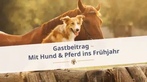 Bloggrafik: „Gastbeitrag: Mit Hund & Pferd ins Frühjahr“