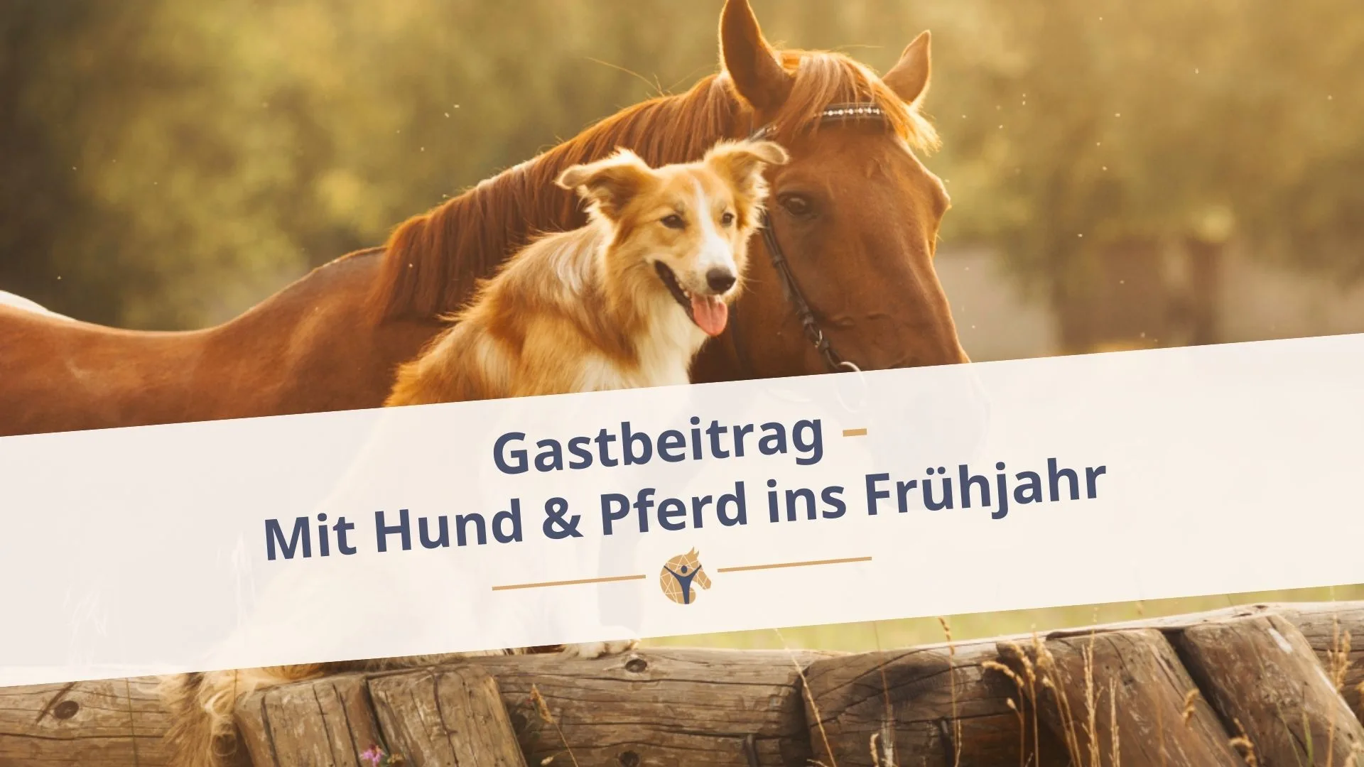 Bloggrafik: „Gastbeitrag: Mit Hund & Pferd ins Frühjahr“