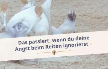 Bloggrafik: „Das passiert,wenn du deine Angst beim Reiten ignorierst“; Der PRE Schimmel Nino liegt auf dem Rücken im Sand und strampelt.